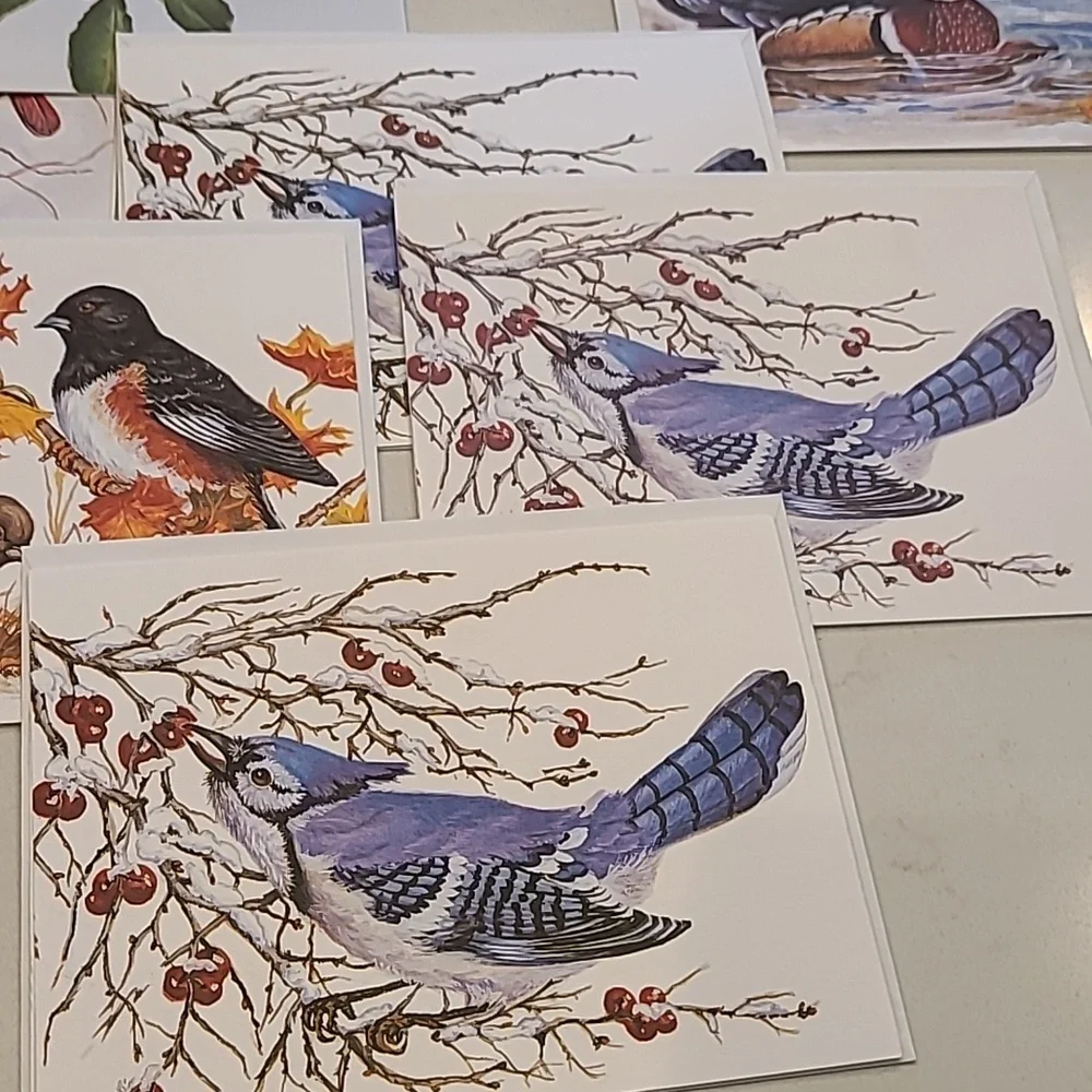 bird nature greeting cards new original